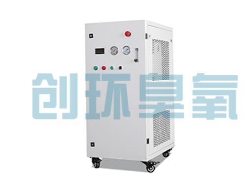 峰峰矿石斑鱼养殖水质调控完整指南:臭氧发生器配置与操作步骤
