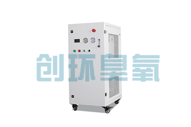峰峰矿比传统换水更高效？臭氧发生器在石斑鱼养殖中的水质净化原理解析